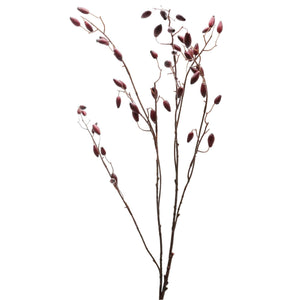 Burgundy Rosehip Stem_4534