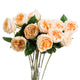 Butter Portland Rose_4541