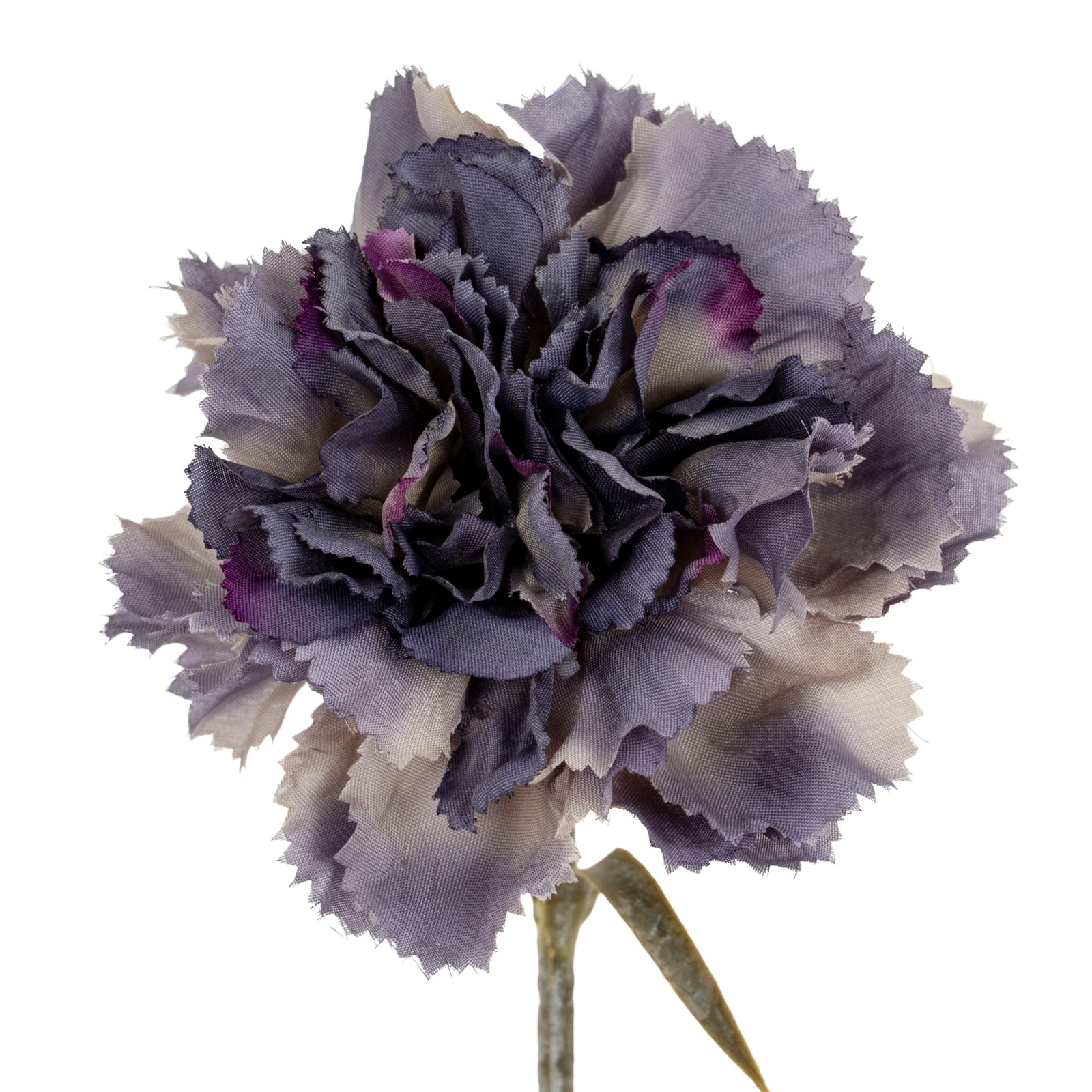 Carnation Stem_5423