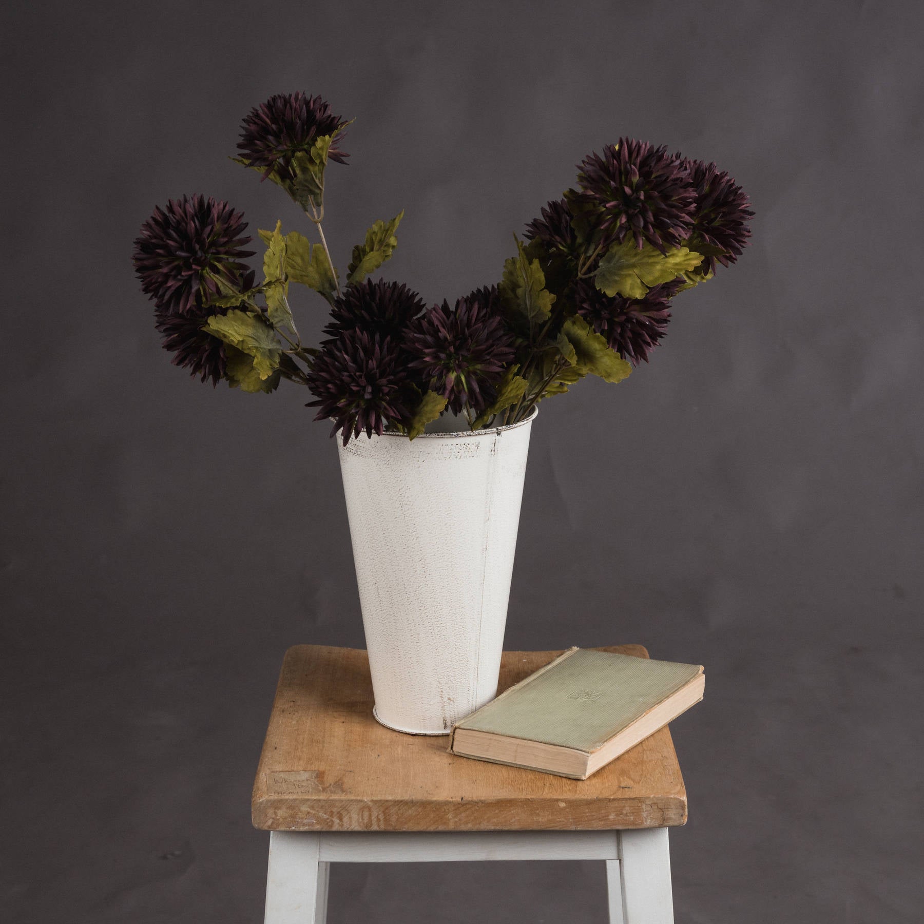 Chocolate Chrysanthemum_4557