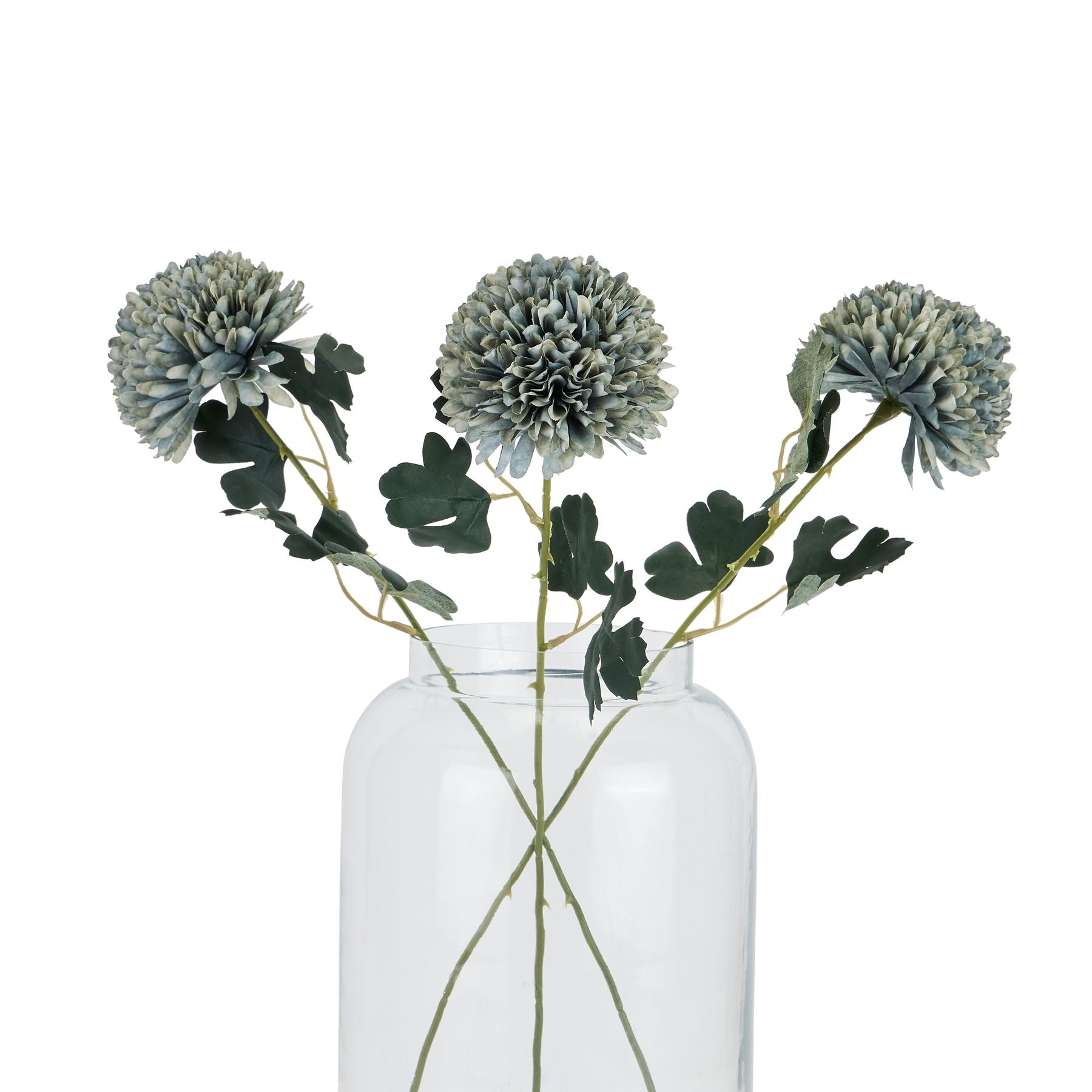 Pale Green Blue Chrysanthemum_5326