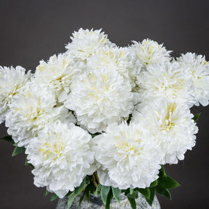 Classic White Peony_4575