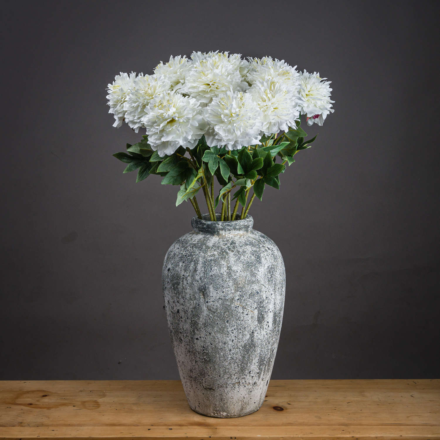 Classic White Peony_4574