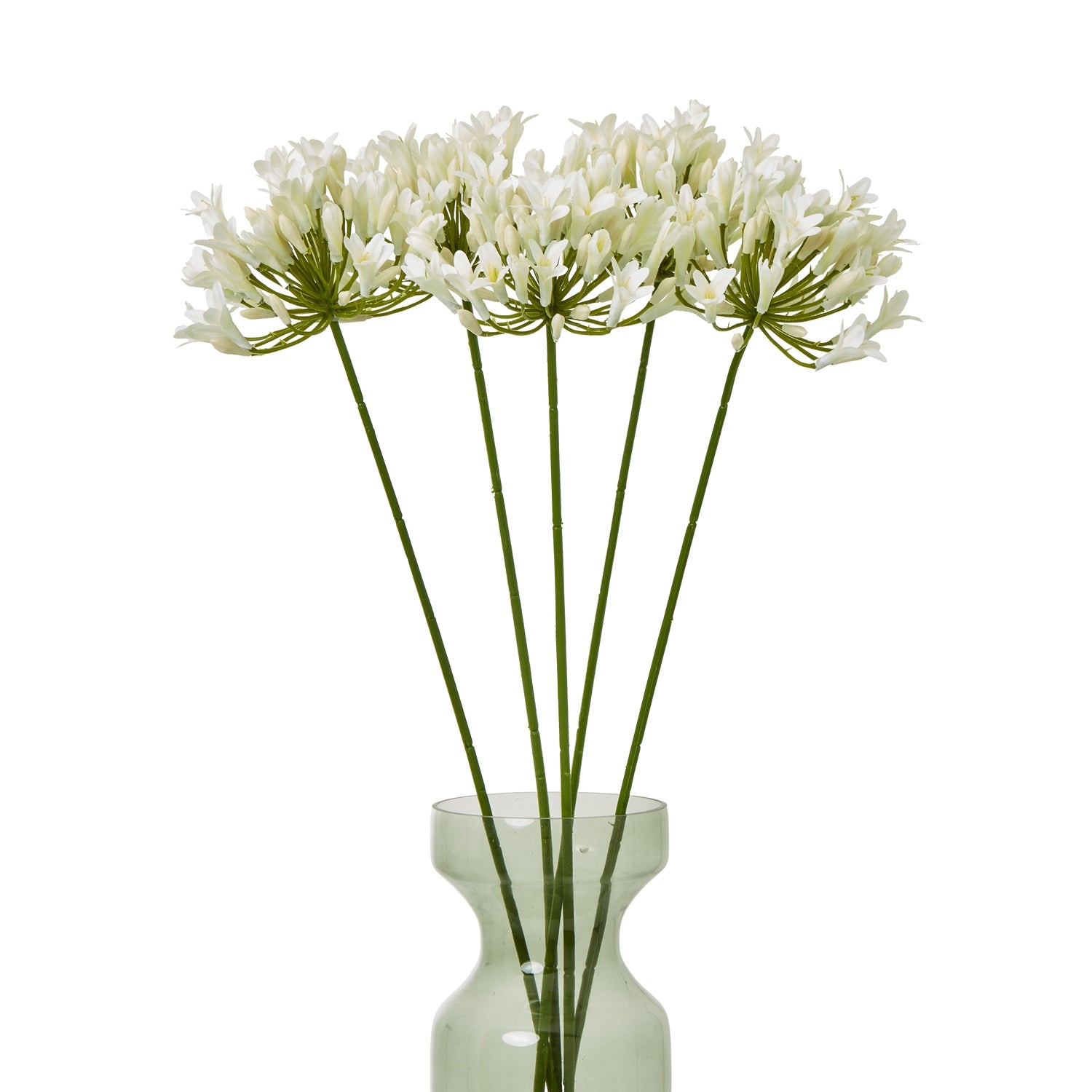 Cream Agapanthus Spray_4587