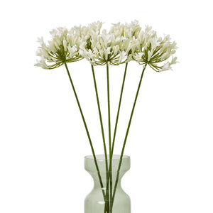 Cream Agapanthus Spray_4587