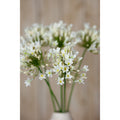 Cream Agapanthus Spray_4589