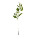 Cream Bauhinia Orchid Spray_4606