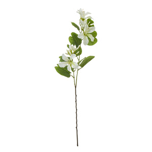 Cream Bauhinia Orchid Spray_4606
