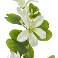 Cream Bauhinia Orchid Spray_4607