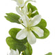 Cream Bauhinia Orchid Spray_4607