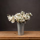 Cream Cosmos Spray_4611