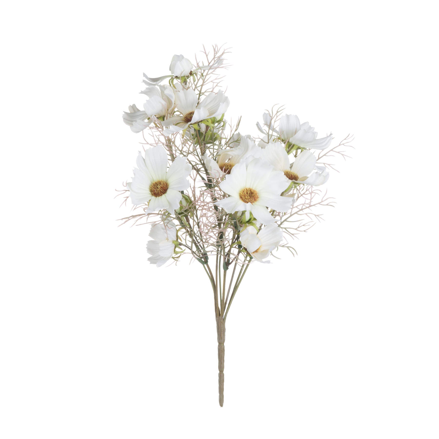 Cream Cosmos Spray_4614