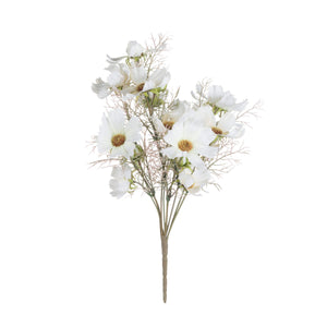 Cream Cosmos Spray_4614