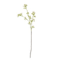Cream Gypsophila Spray [cid:23847]