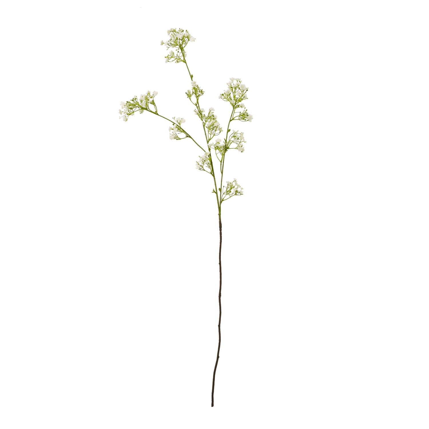 Cream Gypsophila Spray [cid:23847]