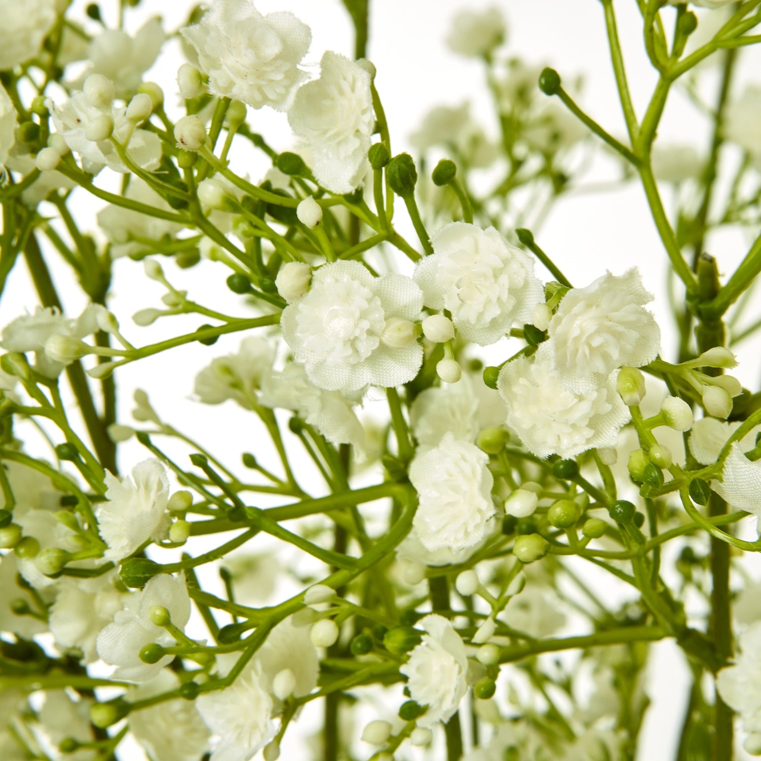 Cream Gypsophila Spray [cid:23847-a]