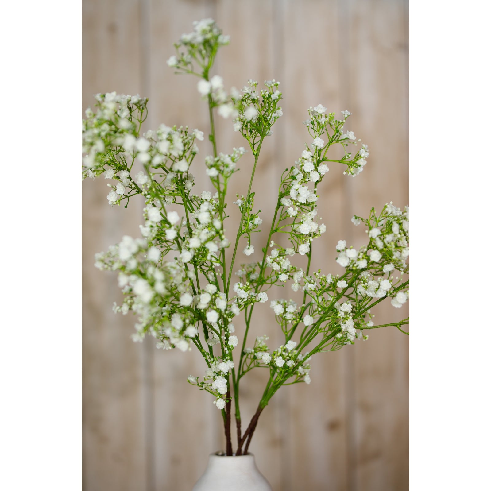 Cream Gypsophila Spray [cid:23847-d]