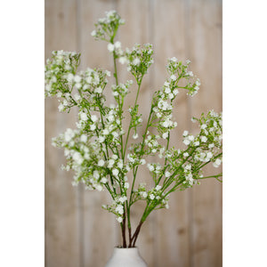 Cream Gypsophila Spray [cid:23847-d]