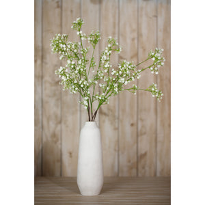 Cream Gypsophila Spray [cid:23847-c]