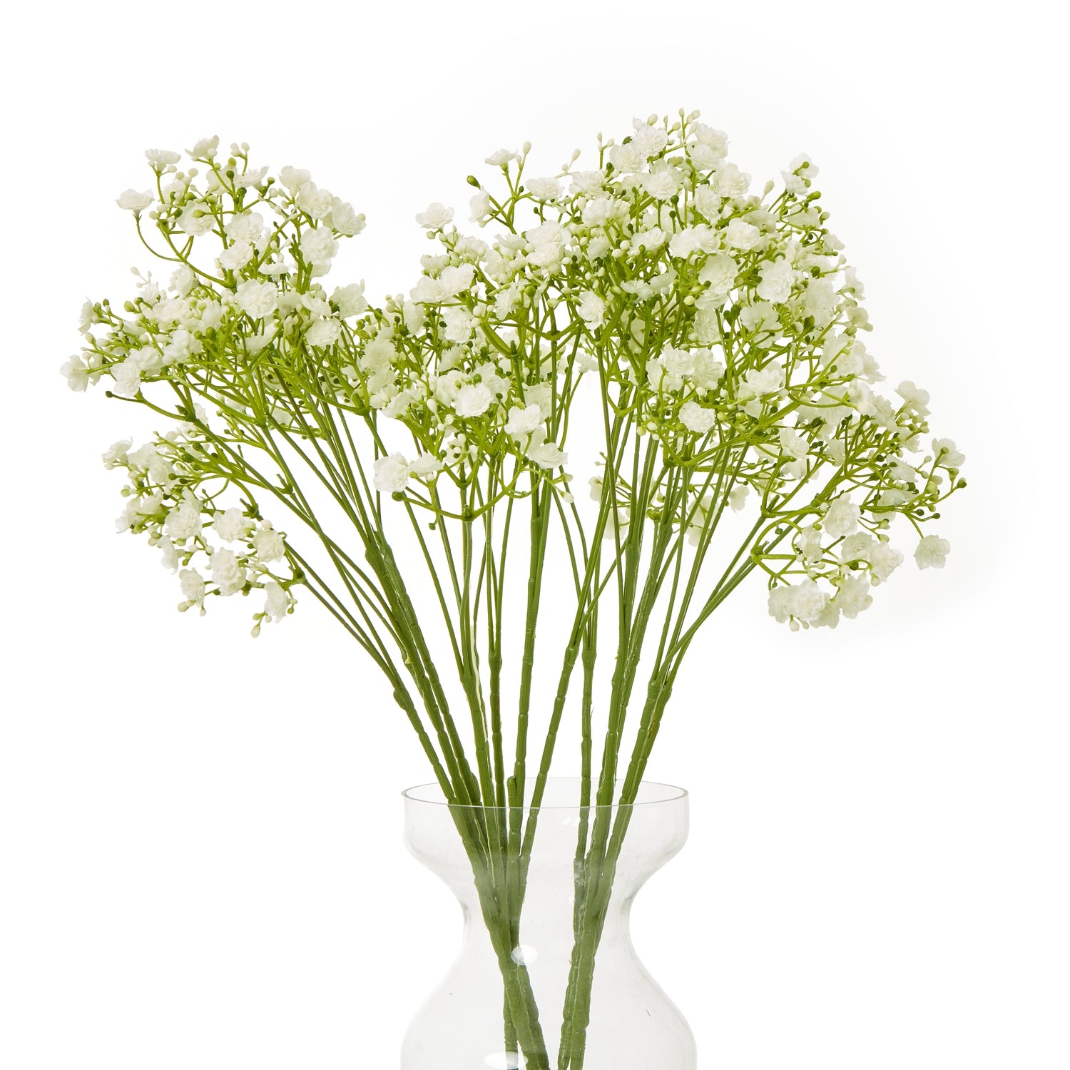 Cream Gypsophila Stem_4649