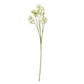 Cream Gypsophila Stem_4647