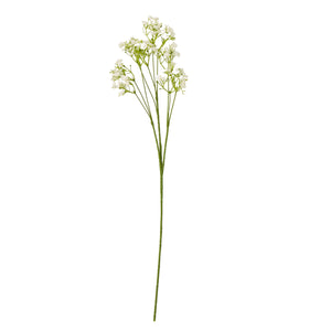 Cream Gypsophila Stem_4647