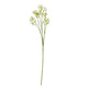 Cream Gypsophila Stem_4647