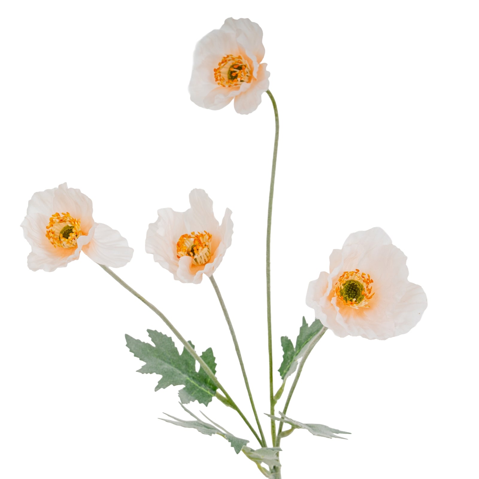Cream Papaver Poppy Spray_4660