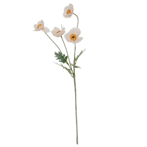 Cream Papaver Poppy Spray_4661