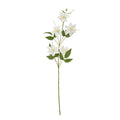 Cream Pearl Clematis Spray_4663