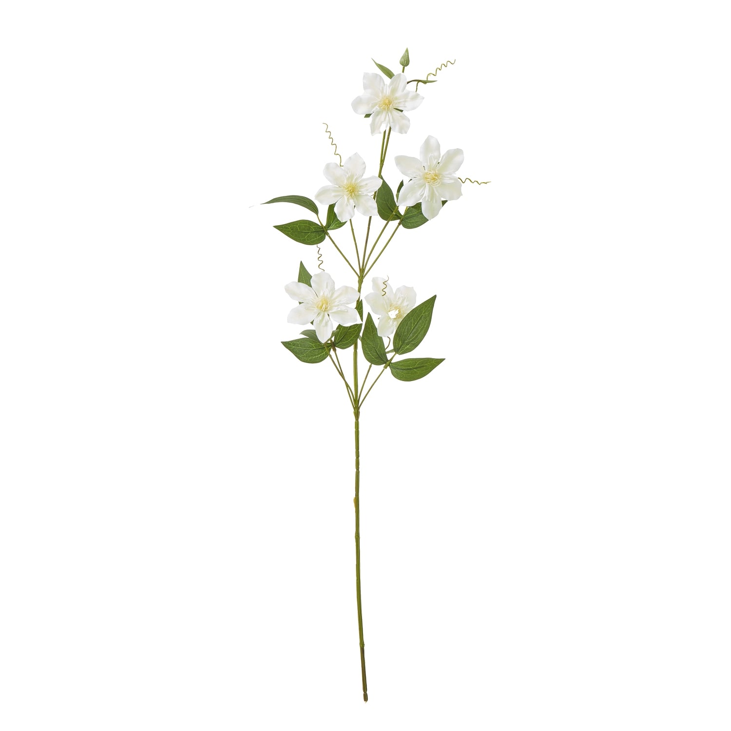 Cream Pearl Clematis Spray_4663