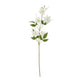 Cream Pearl Clematis Spray_4663