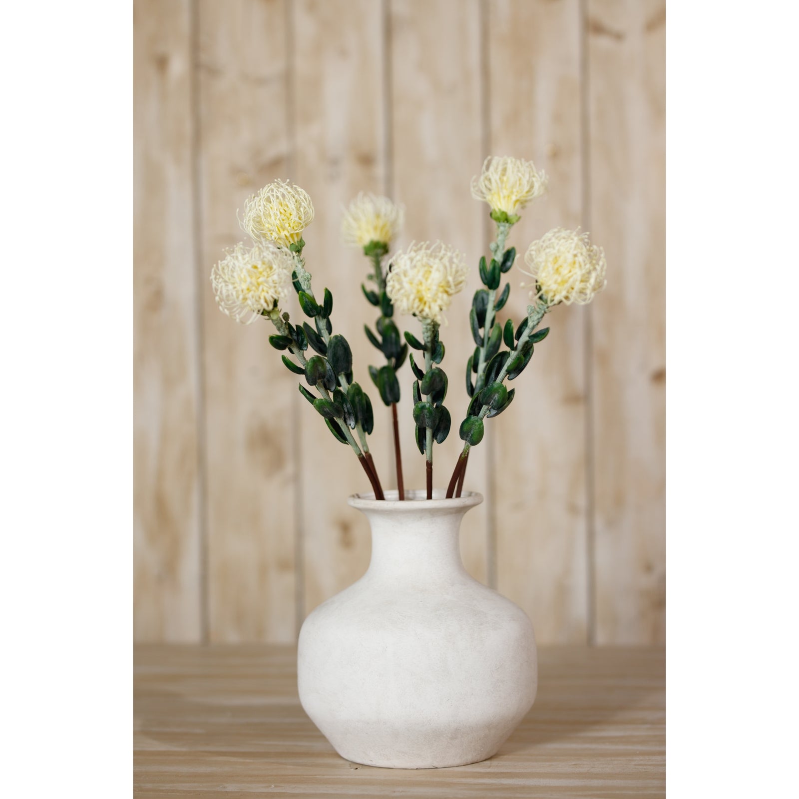 Cream Pincushion Protea Spray [cid:23837-c]