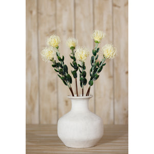 Cream Pincushion Protea Spray [cid:23837-c]