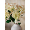 Cream Protea Nitida Stem_4683