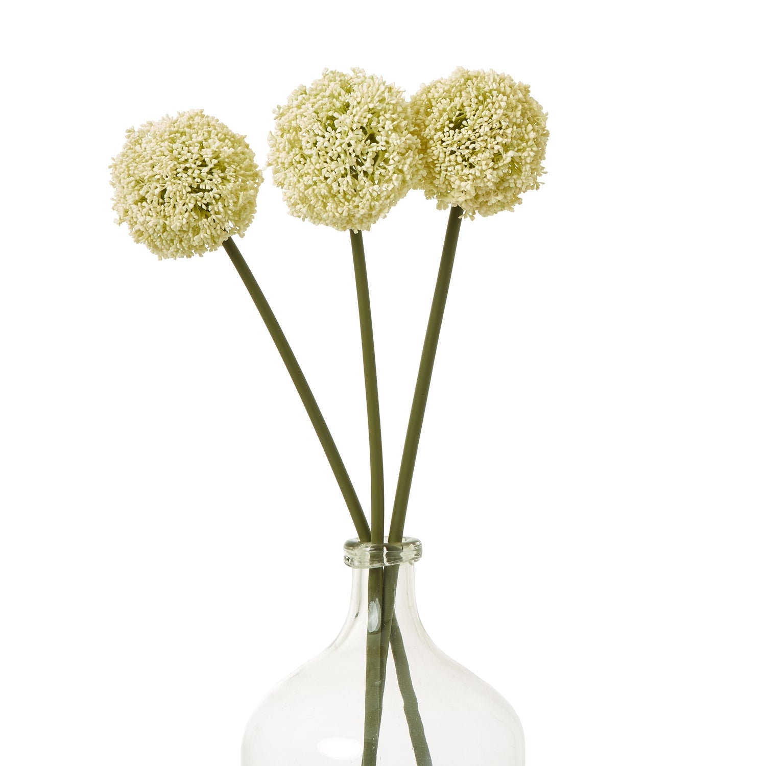 Cream Allium Stem [cid:23850-b]