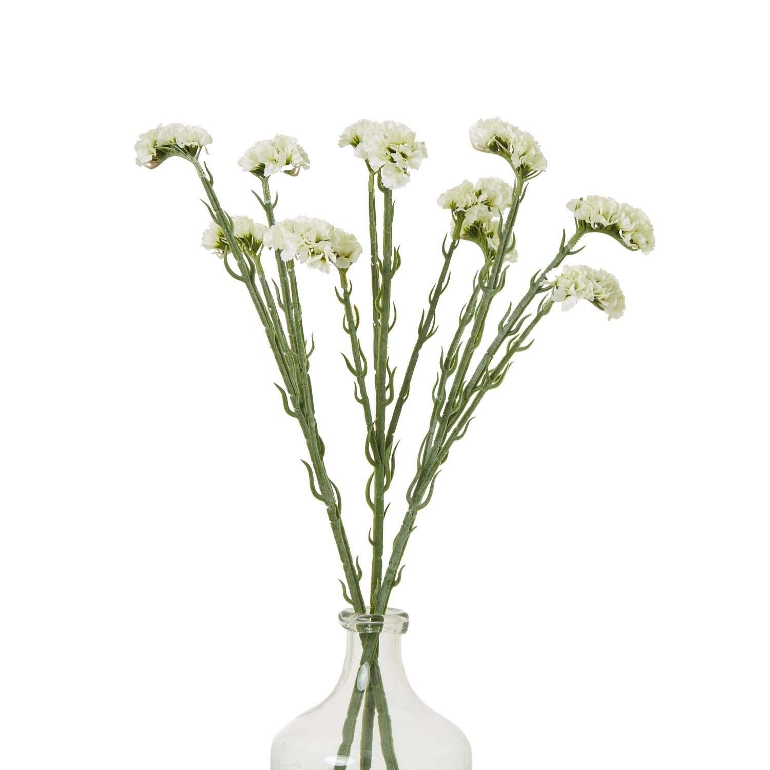 Cream Statice Spray_4705