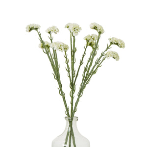 Cream Statice Spray_4705