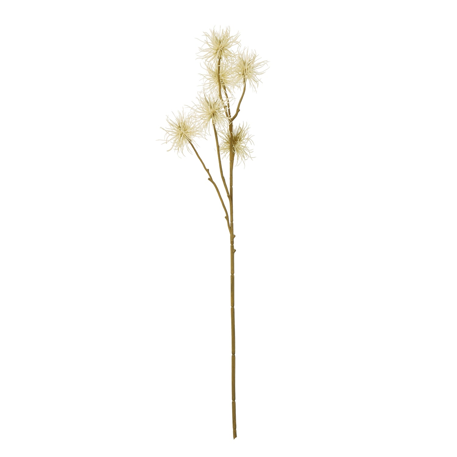 Xanthium Spray_4711