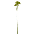 Pink Crown Hydrangea Stem_4894
