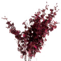 Deep Burgundy Orchid Spray_4729