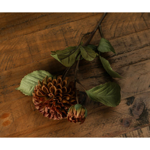 Deep Mustard Dahlia Stem_4731