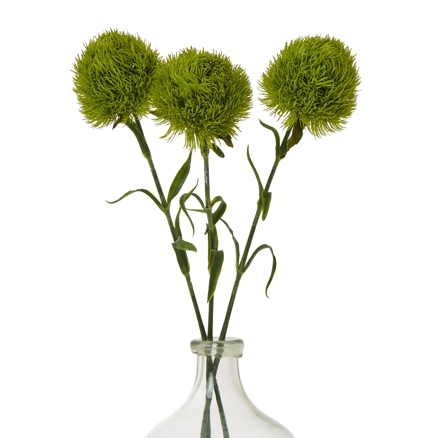 Light Green Dianthus Stem [cid:23840-b]