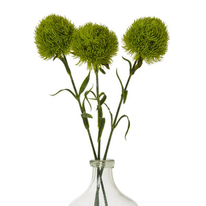 Light Green Dianthus Stem [cid:23840-b]