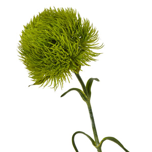 Light Green Dianthus Stem [cid:23840-a]