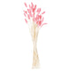 Dried Pale Pink Bunny Tail Bunch Of 40_4745
