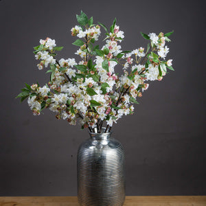 English Blossom Branch_4763