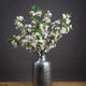 English Blossom Branch_4763