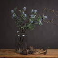 Eryngium Thistle_4768