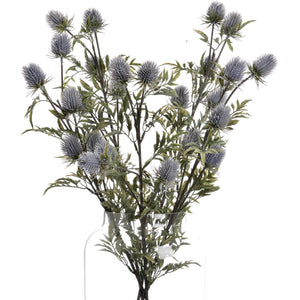 Eryngium Thistle_4771